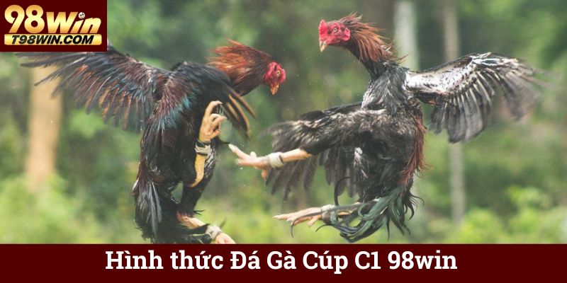 Hình thức Đá Gà Cúp C1 98win