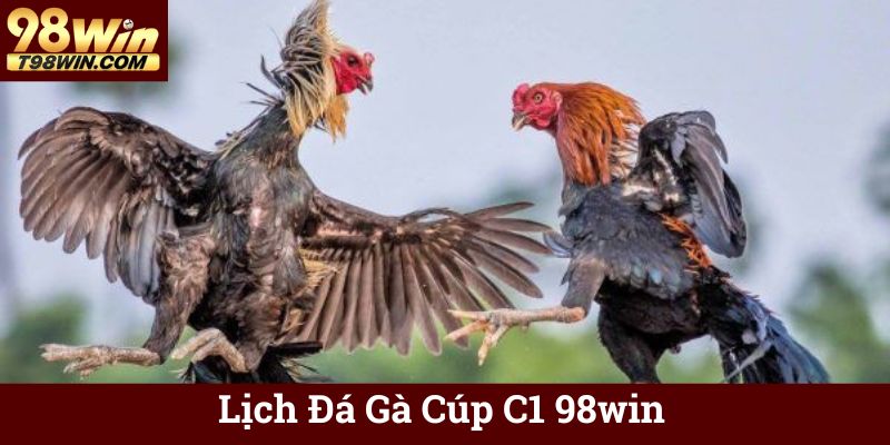 Lịch Đá Gà Cúp C1 98win