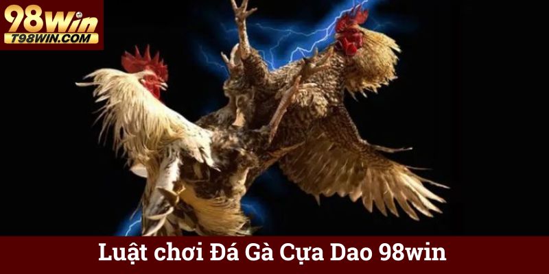 Luật chơi Đá Gà Cựa Dao 98win